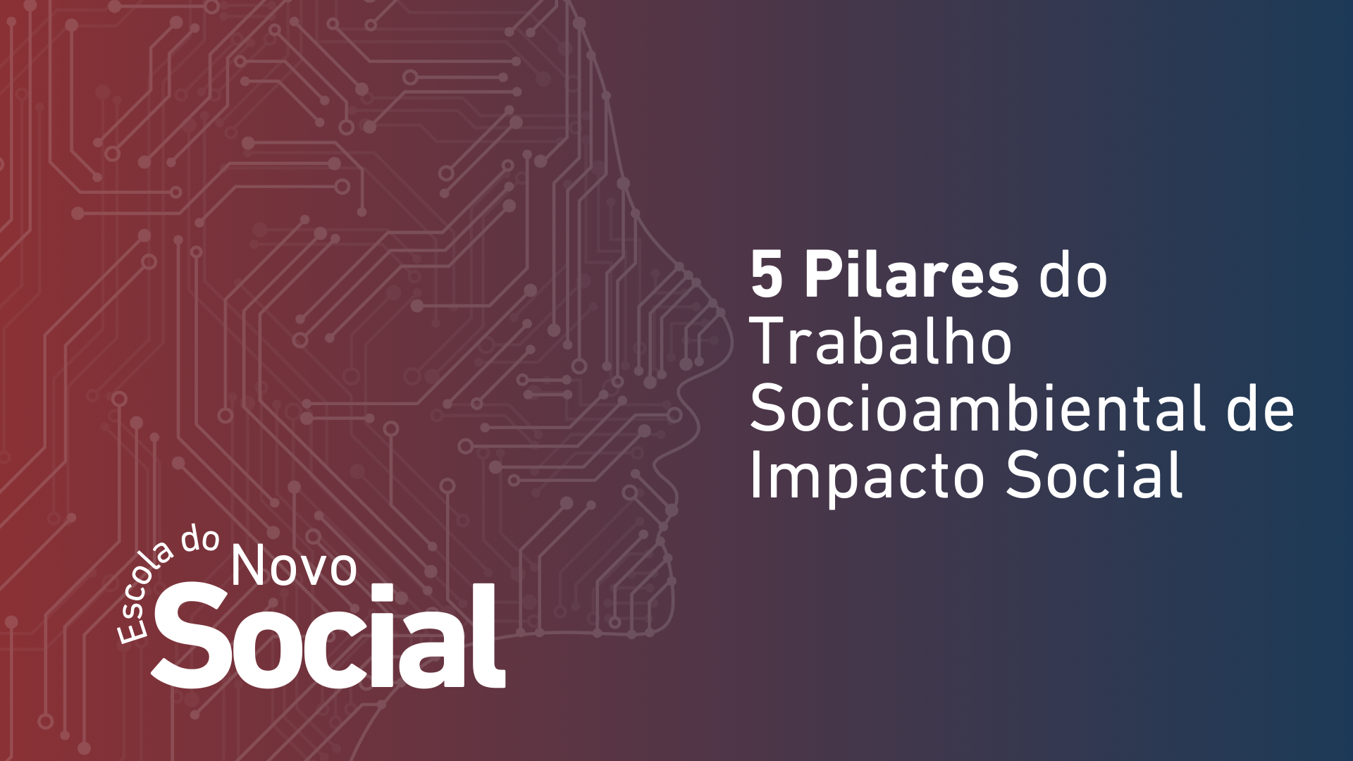 5 Pilares do Trabalho Socioambiental de Impacto Social
